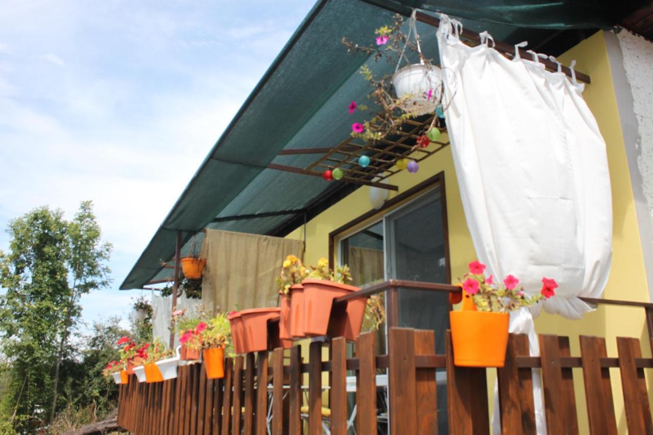 Daskalov Bungalows Chervena Lokva ภายนอก รูปภาพ